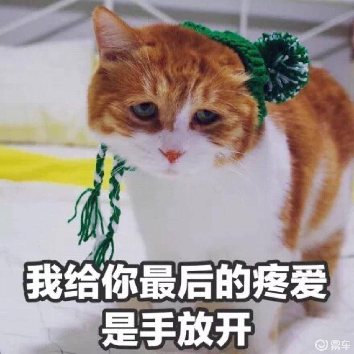 宠妻狂魔周杰伦出新歌,汽车圈却唱有一种爱叫放手
