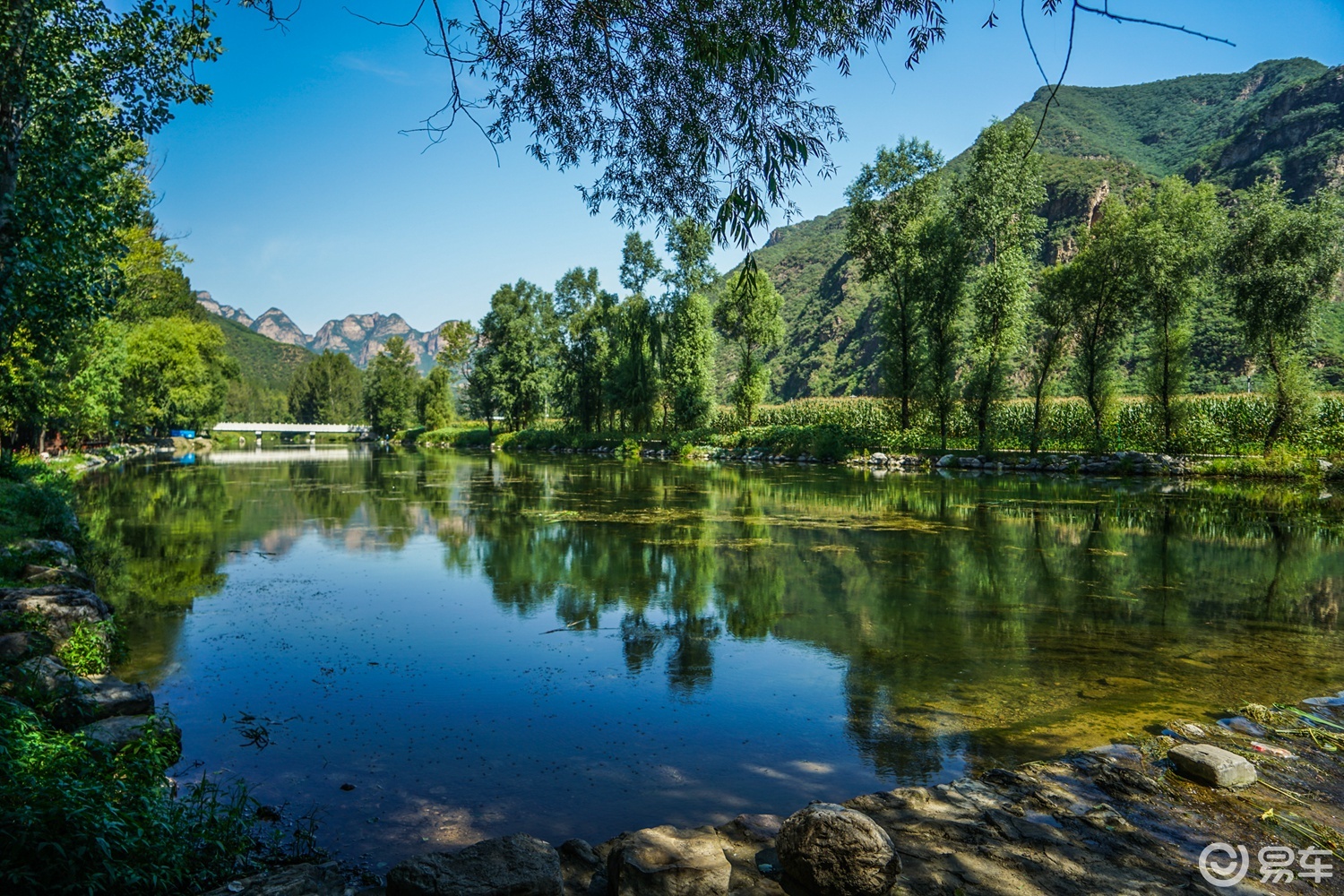 谁说美景一定要花钱?百里山水画廊-四季花海游记