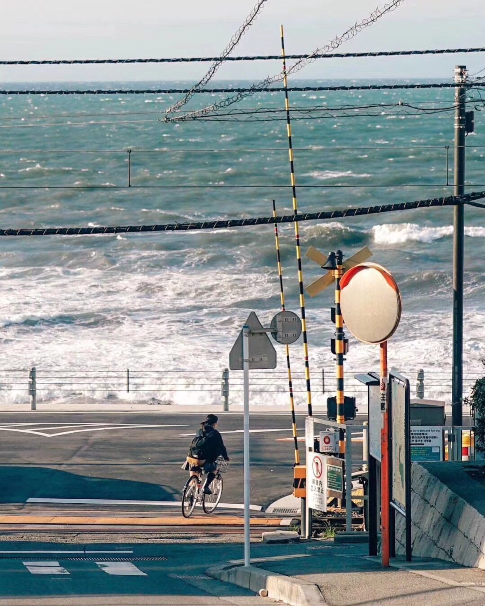 来深圳的镰仓海岸拍照