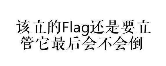 迈入2020,教你flag如何屹立不倒