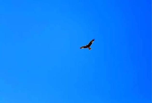 可以用什么词来形容天空 w640_h433_fb0a5e4710e14ab6a38d20c4994d6037.jpeg