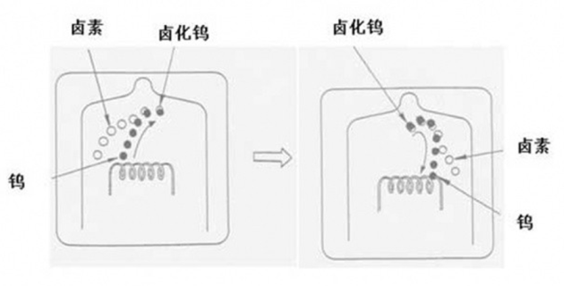 弱电发光灯泡什么原理_弱电箱里面都有什么