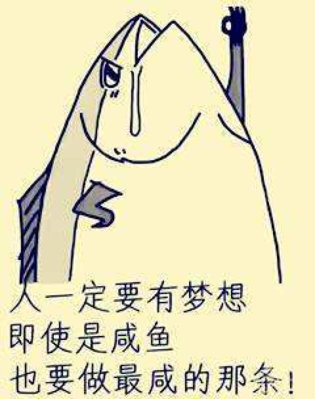 每一条咸鱼都有自己的执着