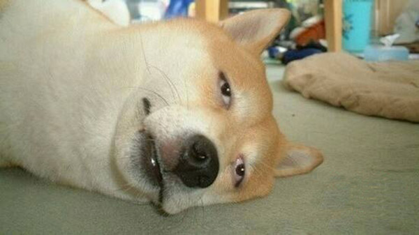 【图文】【易晓车】不拉手刹用力过度 车震变