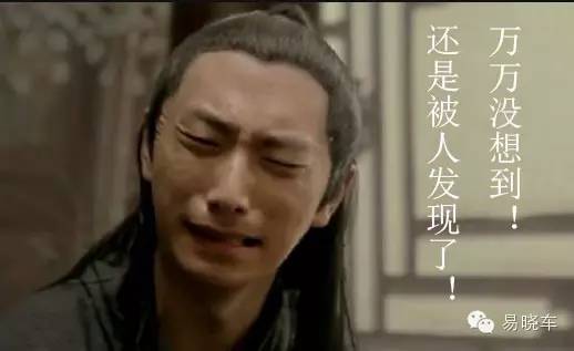 【罚2千又扣12分 司机撞狗没停车算逃逸】-易