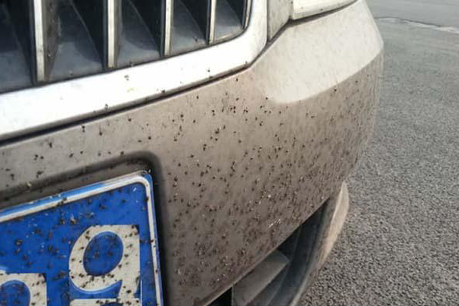 如何正确洗车不毁车 w900_h600_2b3e2de18b5c4680b8527ce6a5d21341.jpg