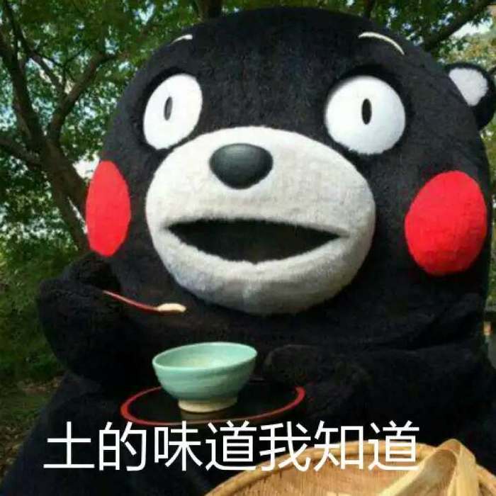 人可以吃土吗 w700_h700_4867b0d8752c4293b24cb667ed67eef0.jpeg
