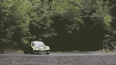 你见过的甲壳虫是我说的