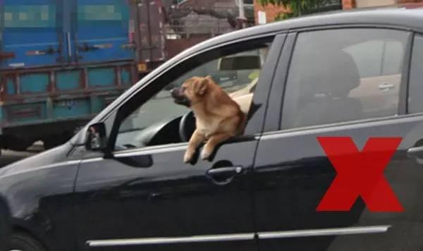 老司机开车姿势 w600_h356_e49b17ef2f01458babcab849dc293ad6.jpeg