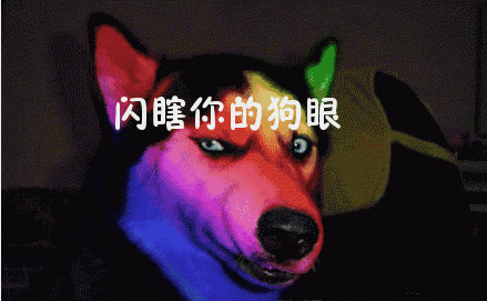 养成良好驾驶习惯,汽车安全靠大家!