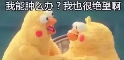w403_h195_4a4392a7b90c4f5e906222d2d586f70c.jpeg