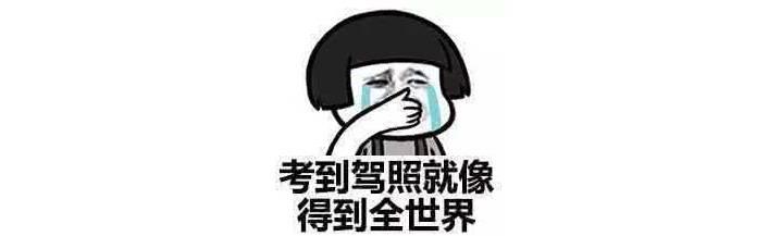 预算5万元买好车 这几款车就最适合大学生和小夫妻了