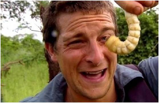 如果贝尔来中国录制荒野求生，这车肯定是他的首选_SUV大咖_易车号-易车网