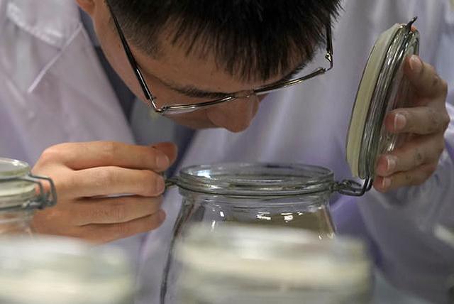 你买车会在意车内气味吗?郑谊-易起说-易车网