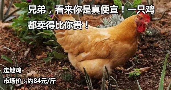 w600_h316_4bf1eac1616c41b9a0b677eba023e76d.jpeg