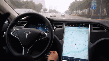 356_200 gif 动态图 动图