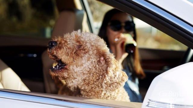 唯爱与时光不可辜负 和XT5一起领略最美盘山