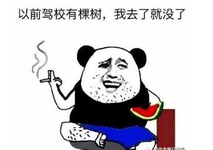 考驾照已这么艰难,不搞点事情还怎么在驾校待下去?