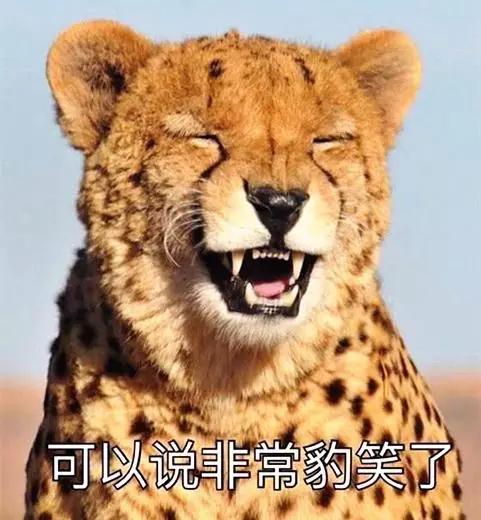看到这类违章罚单别担心，不用去处理！