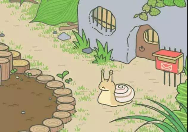 徒步太累,我想给旅行的蛙儿子买台车