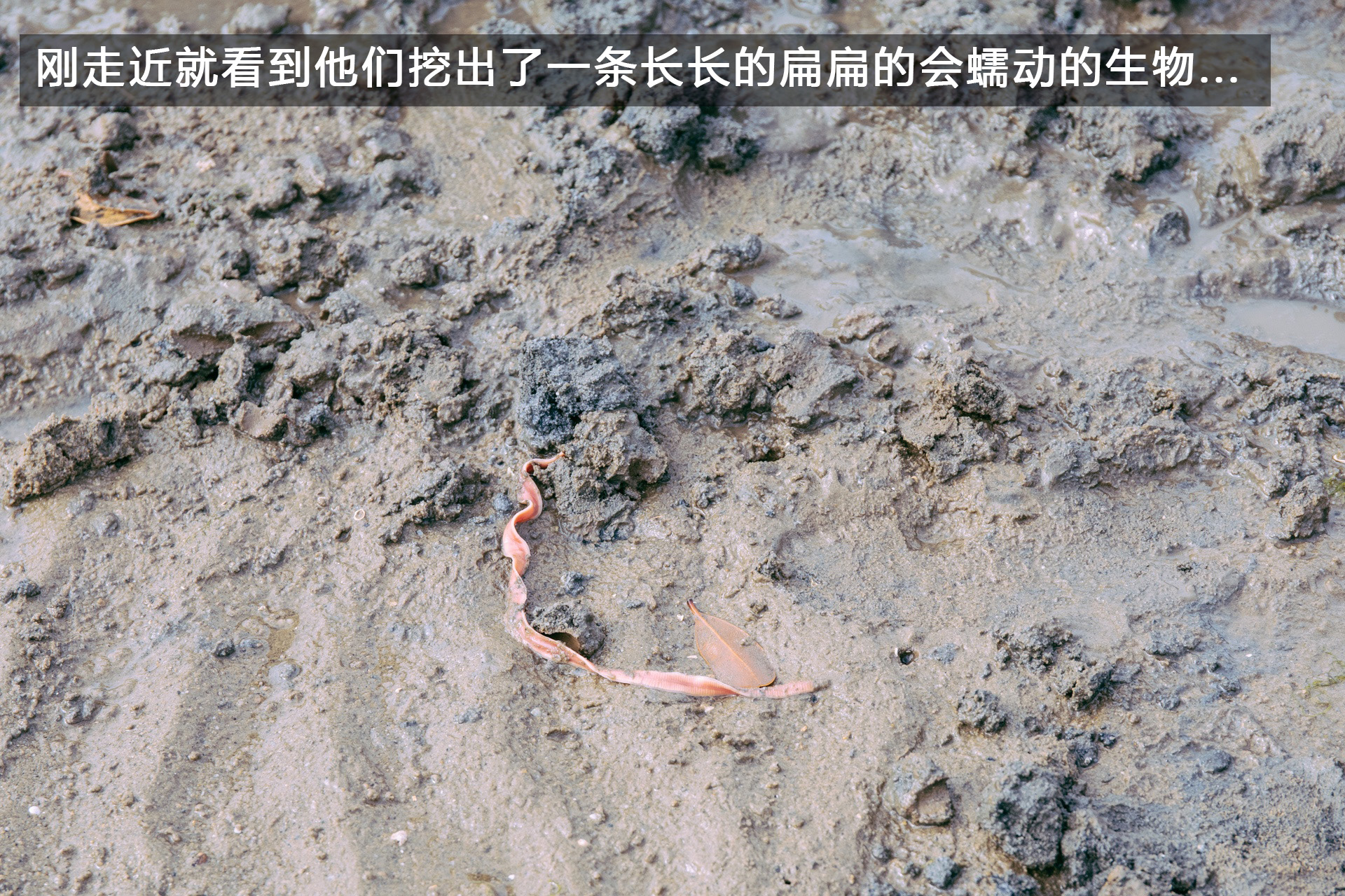 广宁GDP_广宁地图(2)