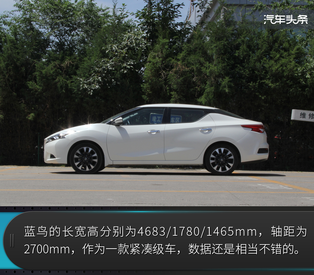 小蓝鸟官方叫什么 w1000_h875_7ca8a08c235347a8b53fe41809d0e6d5.jpeg