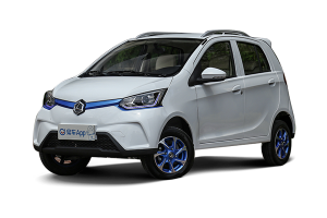 雷丁排名_雷丁电动汽车