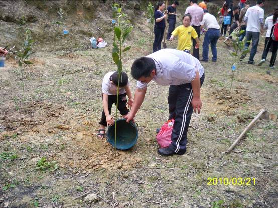 【图文】支持环保 阳海集团首届植树节成功举