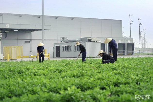 宝马牌花生了解一下?华晨宝马全方位打造可持续发展(图1) 宝马牌花生了解一下?华晨宝马全方位打造可持续发展(图1)