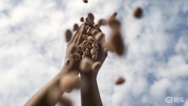 宝马牌花生了解一下?华晨宝马全方位打造可持续发展(图2) 宝马牌花生了解一下?华晨宝马全方位打造可持续发展(图2)