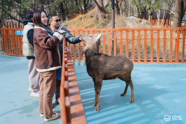 蛇是哺乳类还是爬行类 f738805a-581e-4757-a468-f67025aeb45d_630_w1.jpg