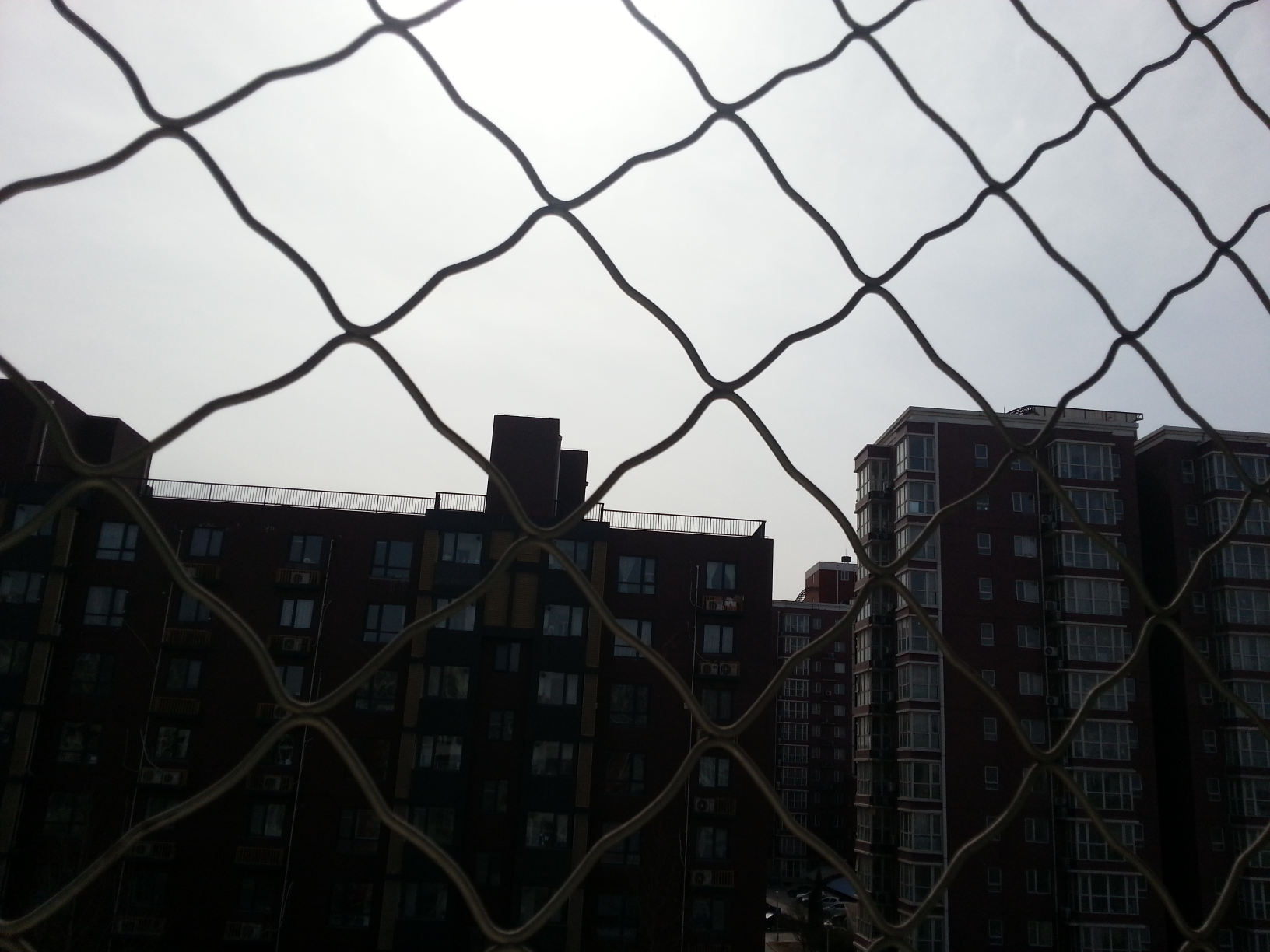 【今天天气不错】_科鲁兹论坛