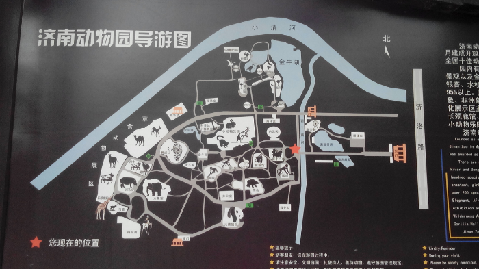 直播济南动物园