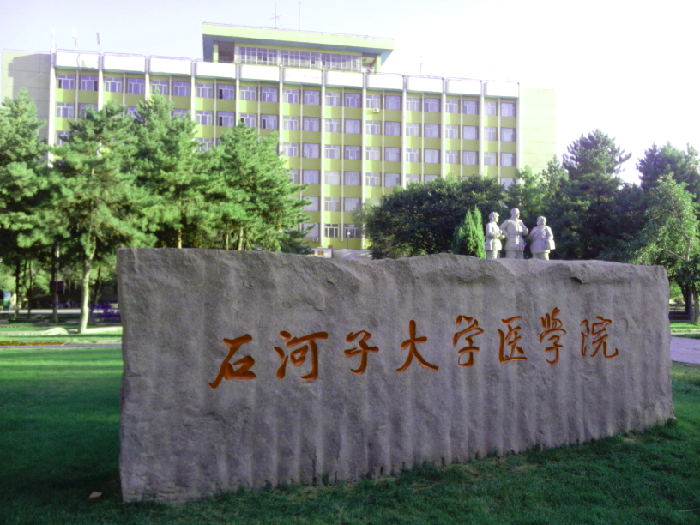 【【每日图鉴】医学院】山东论坛论坛