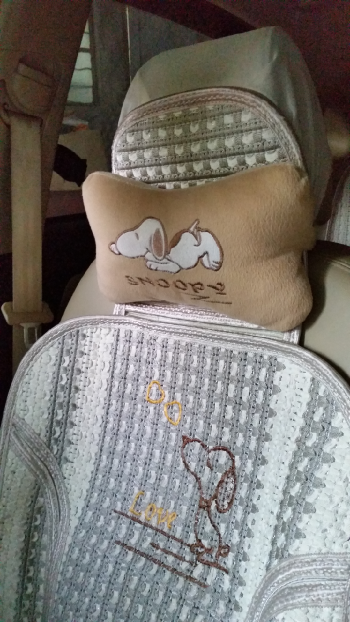 御马座垫到手了--晒年会奖品