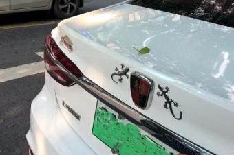 车尾贴小壁虎是什么意思?我们问了很多人,交警都没给对答案