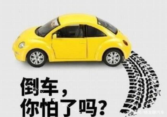 新手多久可以熟练驾驶 157388448852.png