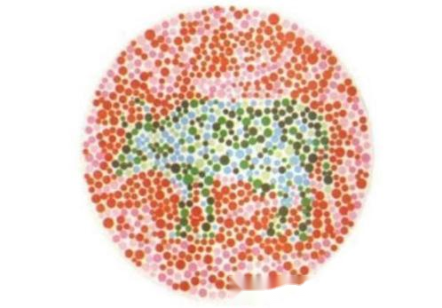 怎么分辨自己是什么色盲 15831055096348832.png