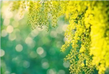 外出越野你都知道带什么嘛?(图1)