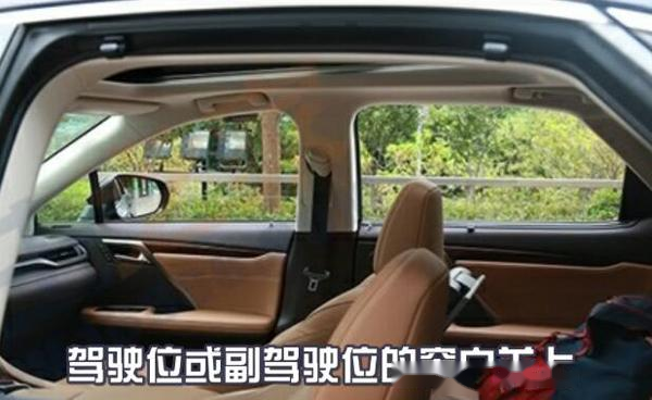 老司机开车了有人要上车吗 15864678871147487.png