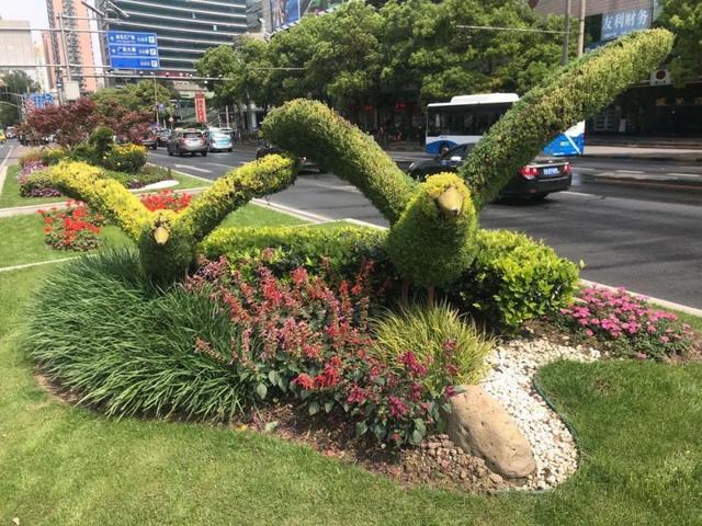 立体花坛不仅提升了道路景观,丰富了城市风貌,更是为那些来来往往的