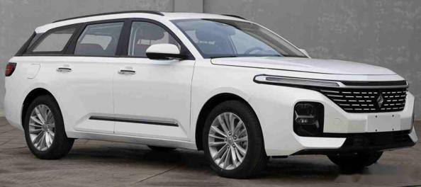 旅行车有哪种车型 1589916743947124.png