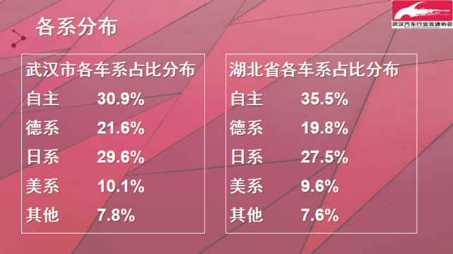 武汉2020年第一季度g_2020年武汉地铁线路图