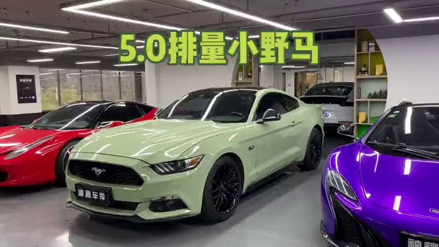 5.0排量的野马,保有量特别少,这种车居然也能租