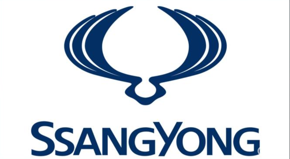 大宇汽车的品牌logo,目前统一的车标均采用"双龙飞舞"的品牌logo标识