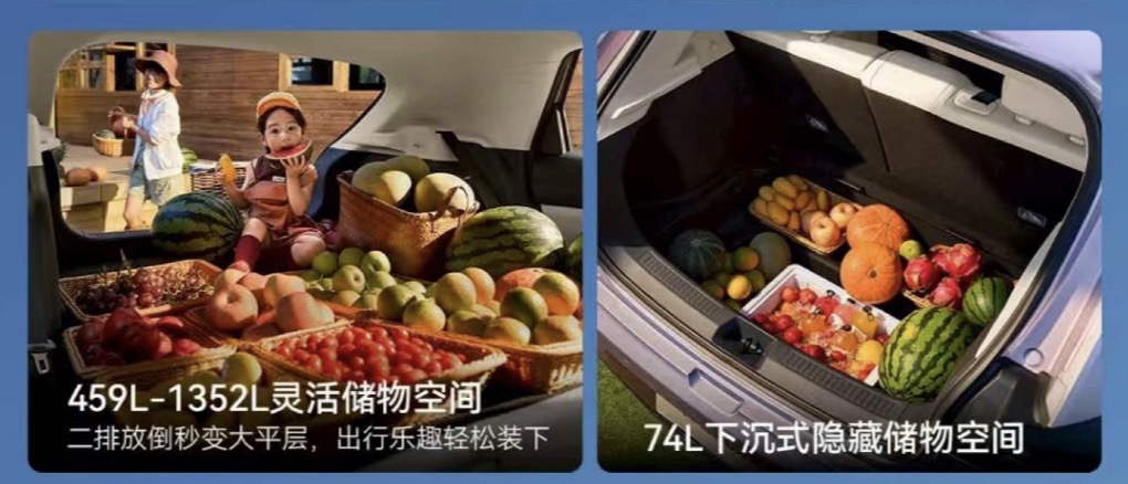 极狐T1正式上市 售后服务网络覆盖超越MG4