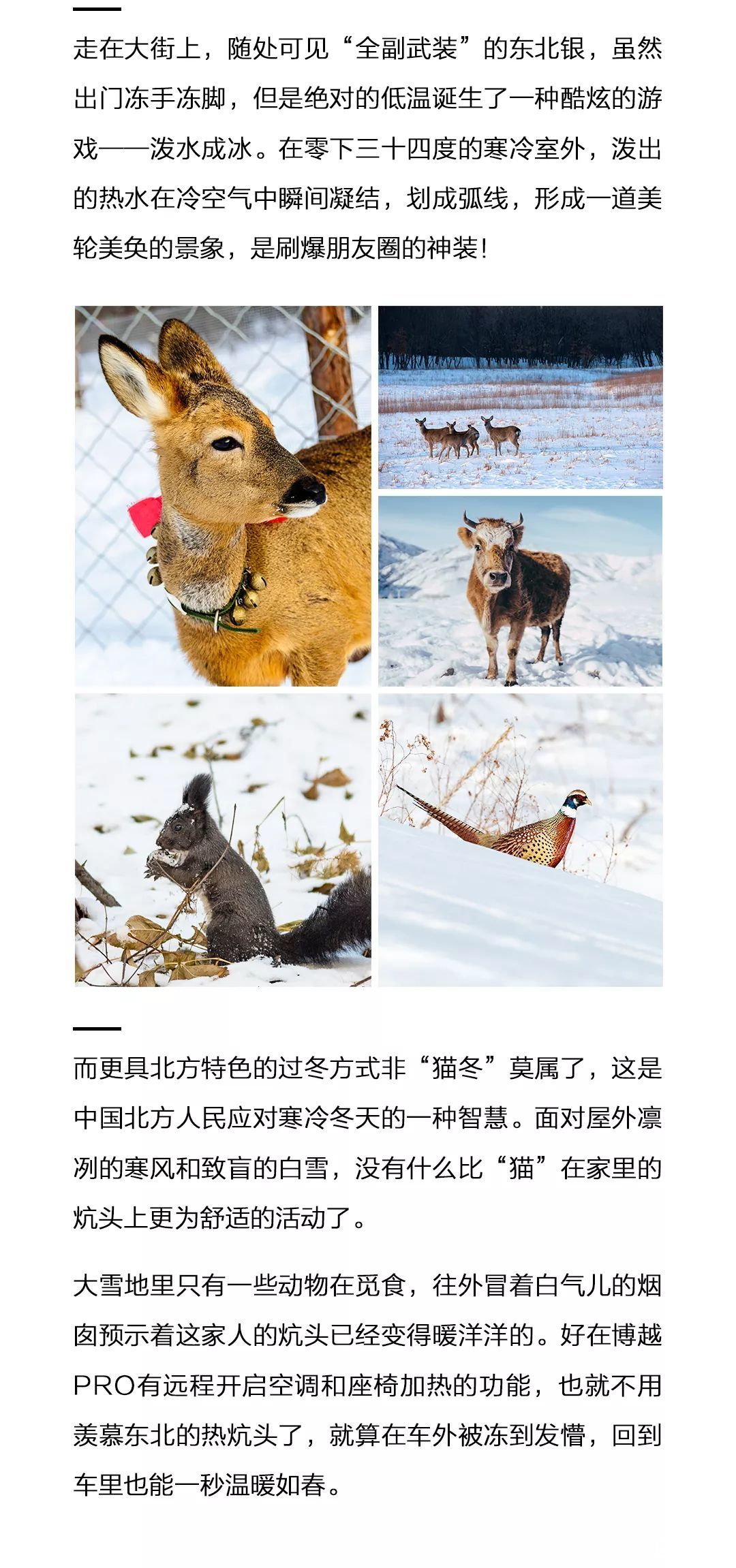 这才是冬天该有的样子 易车