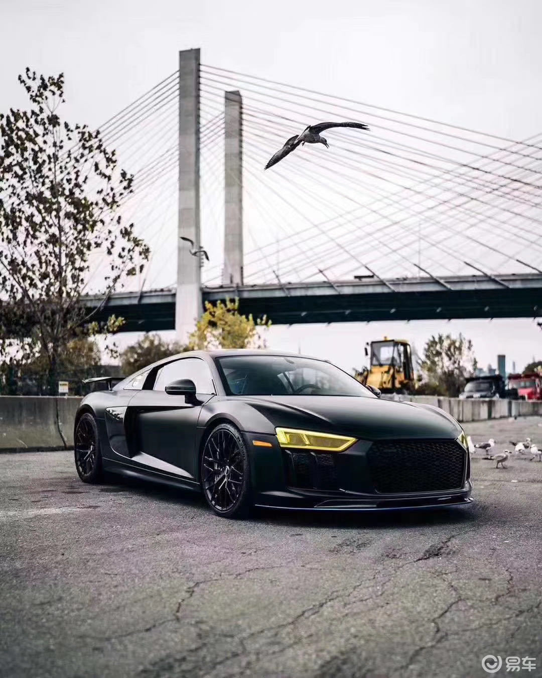 【厦门xpel·睿择旗舰店】奥迪r8黑武士进化艾利哑光黑