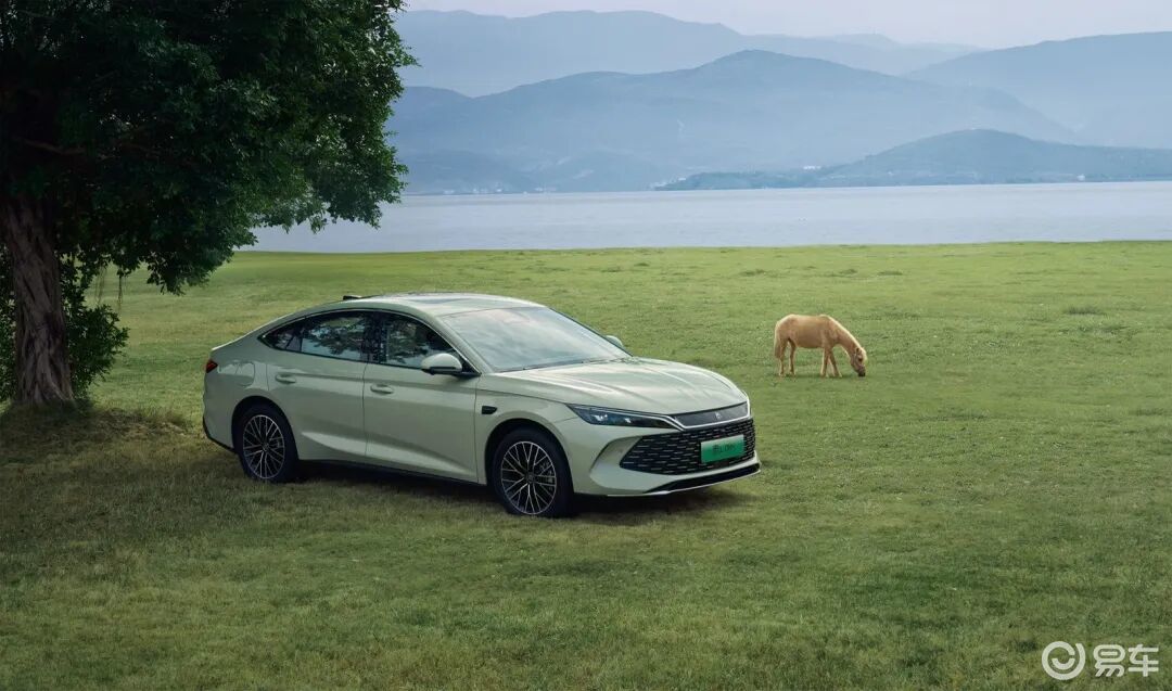 比亚迪秦家族上新：拿捏用户痛点，不止靠210km纯电续航