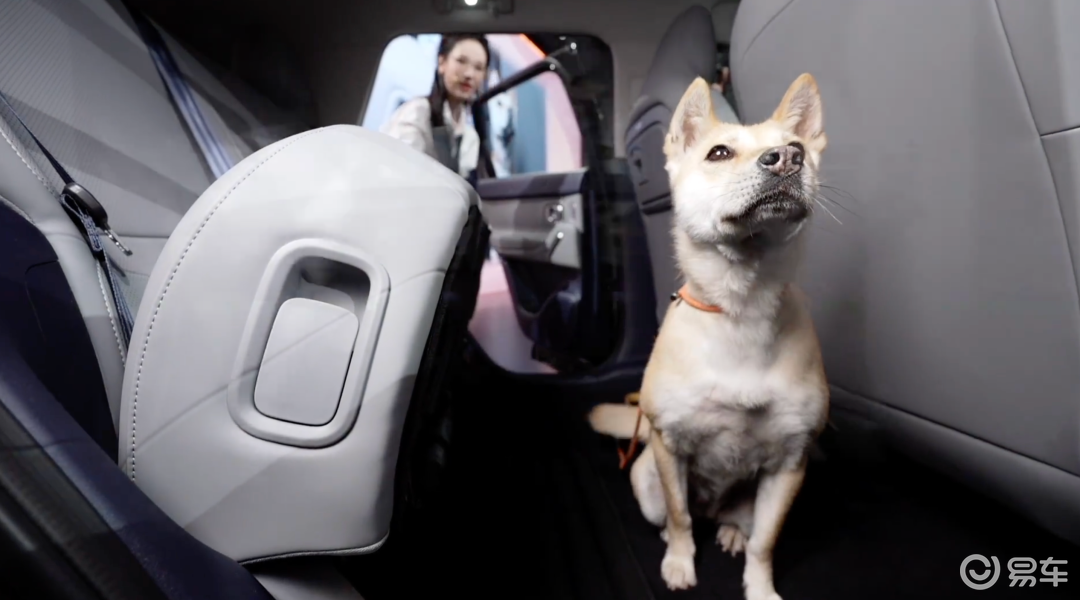 零跑A10不到9万带激光雷达，吉利星愿、MG4如何应对